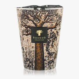 Baobab Collection Sacred Trees Morondo Vela Perfumada 24 cm