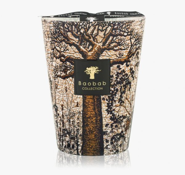 Baobab Collection Sacred Trees Morondo Vela Perfumada 24 cm