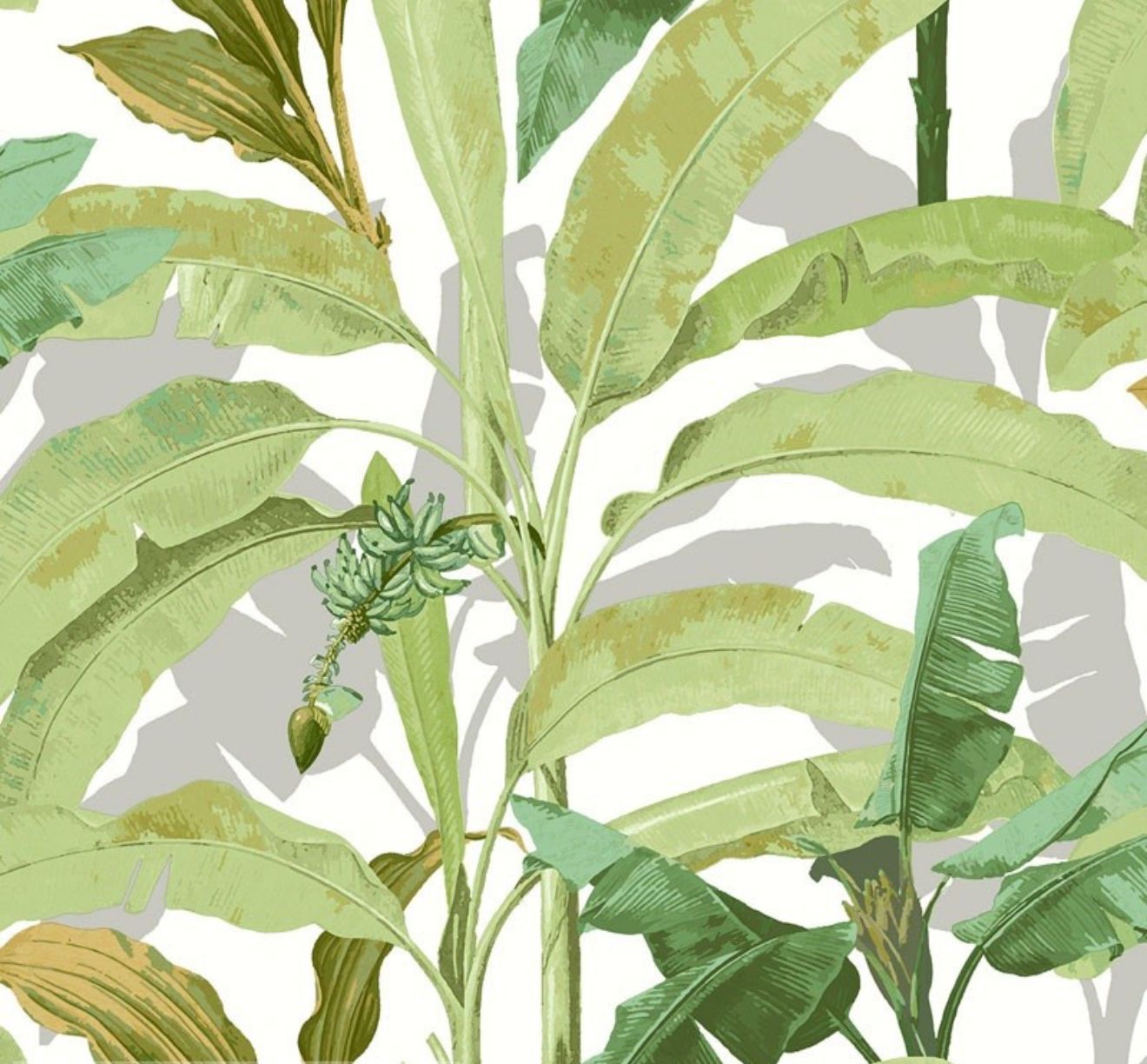 Papel de parede Floral