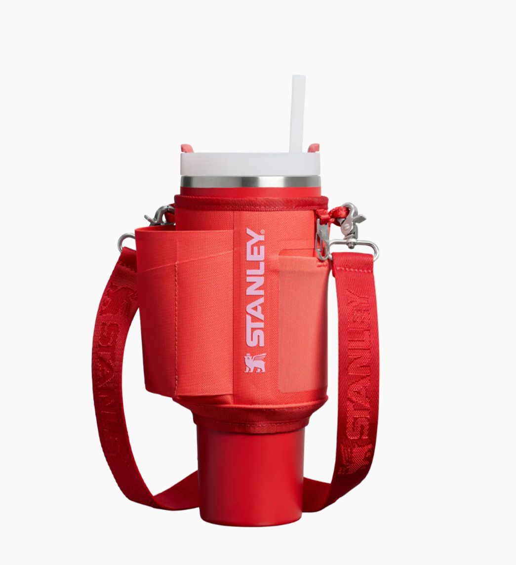 ALL DAY 1.2L QUENCHER CARRY-ALL