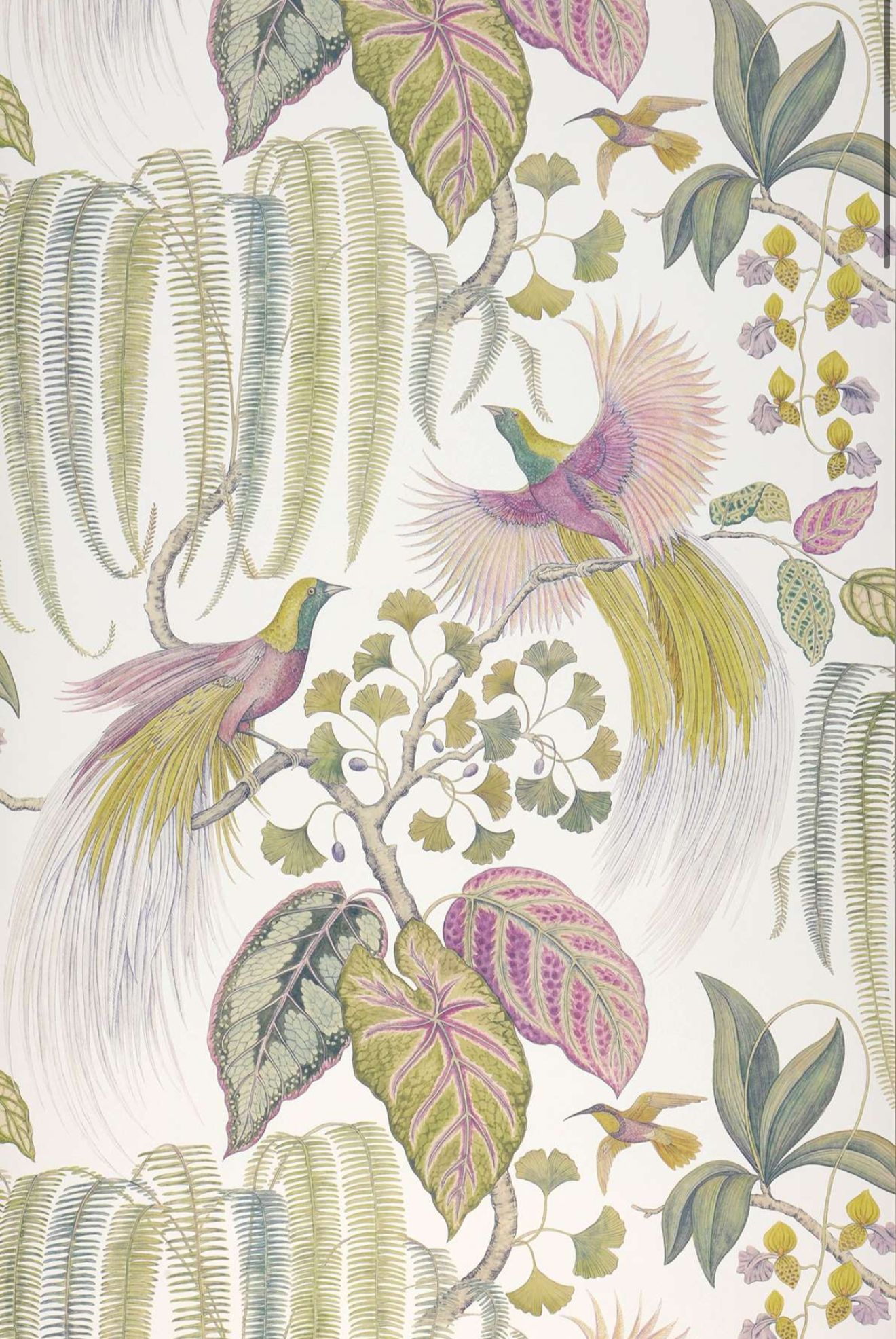 Papel de parede Zoe violeta