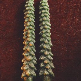 PACK VELAS DECORATIVAS ABETO NATAL (PACK DE 2)