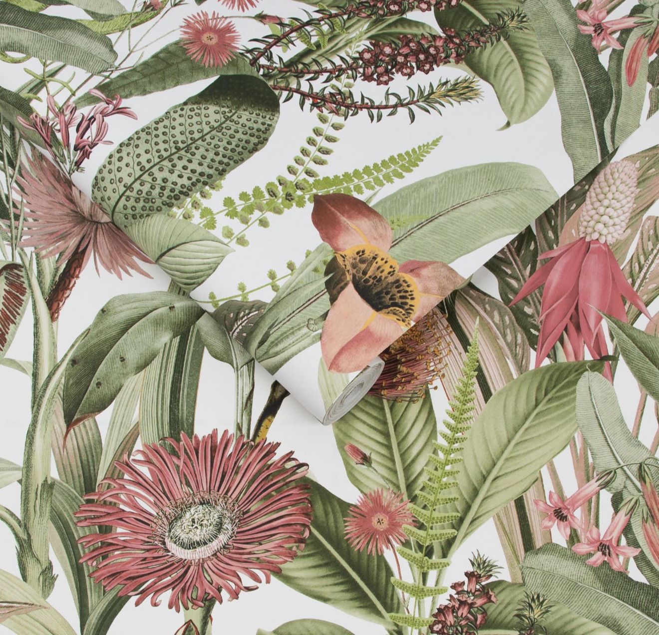 TIGERLILY LUSH WALLPAPER
