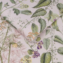 EDULIS BLUSH WALLPAPER