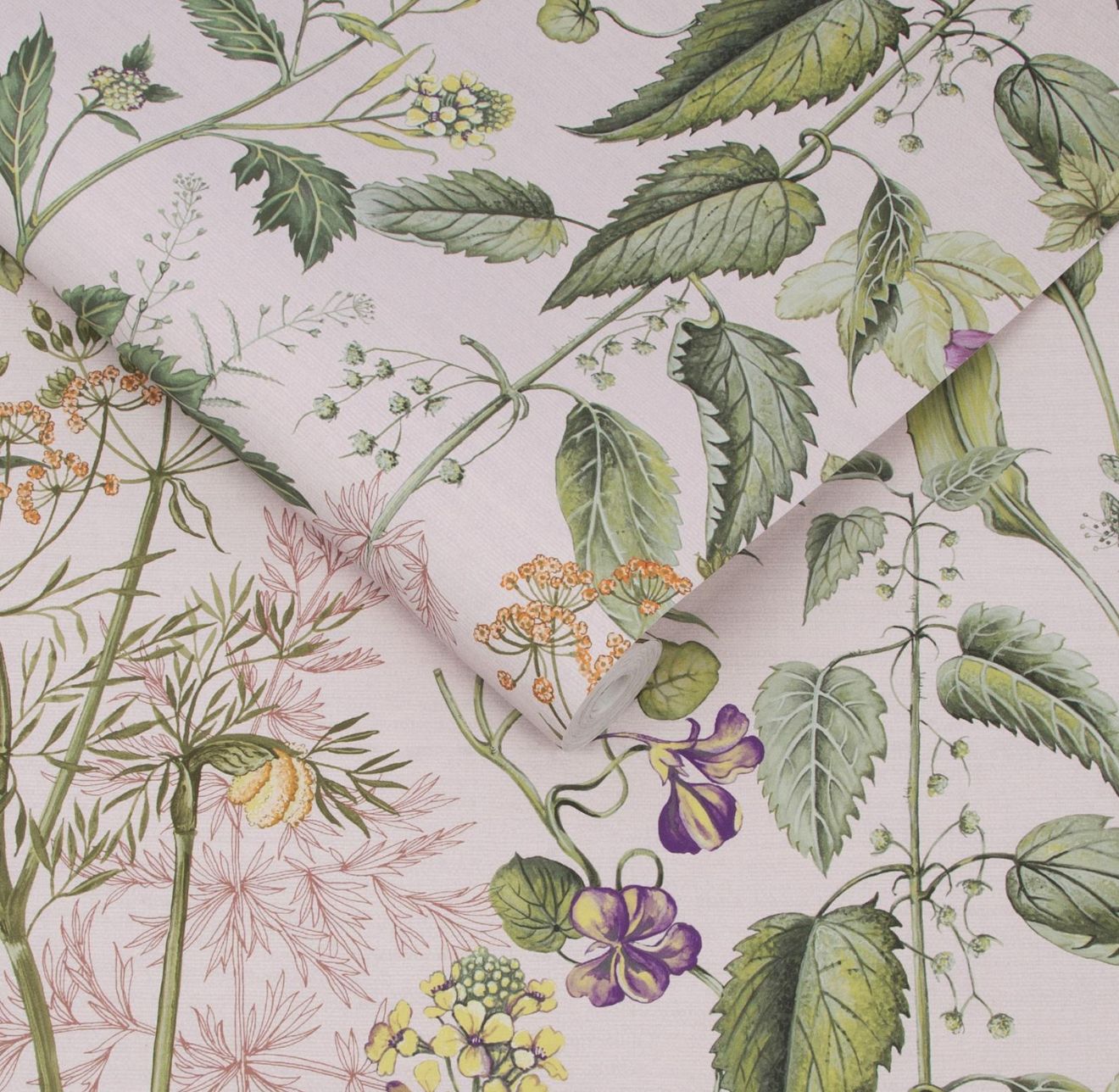 EDULIS BLUSH WALLPAPER