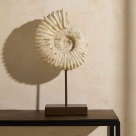 Escultura caracol com base Burrié